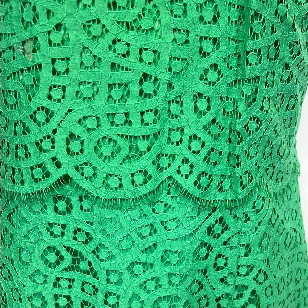 Antonio Melani Chic Green Lace Sleeveless Dress with Eyelash trim Size 12 - Picture 5 of 12